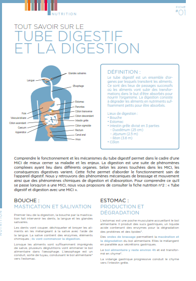 tube digestif et digestion