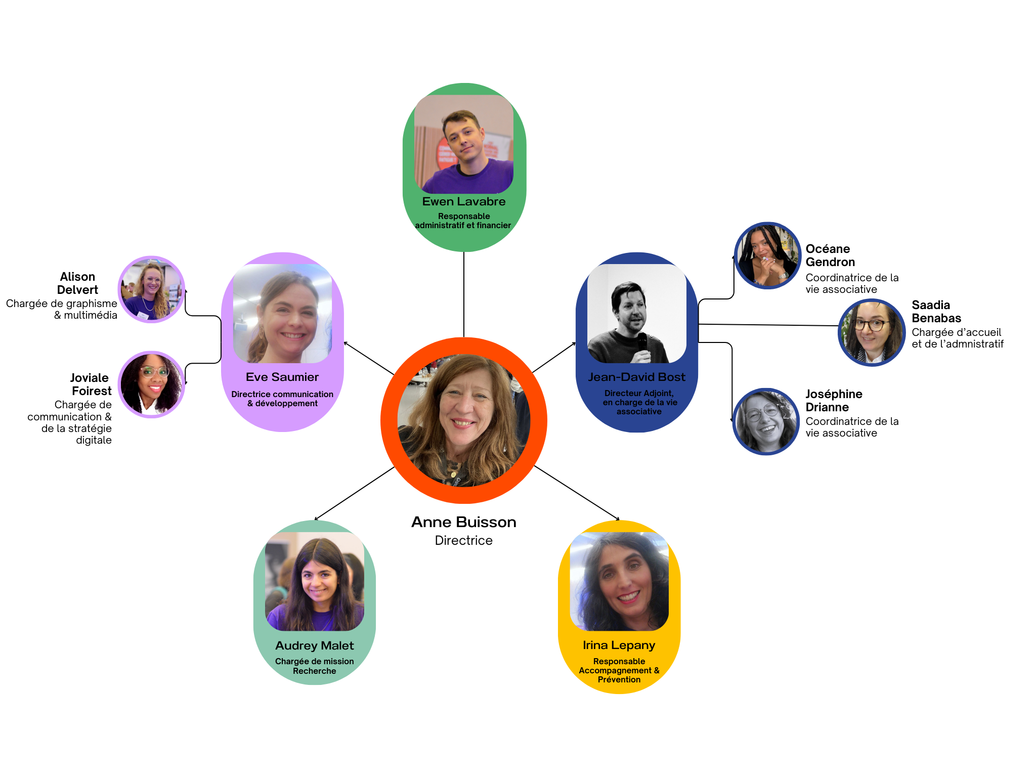 organigramme equipe afa